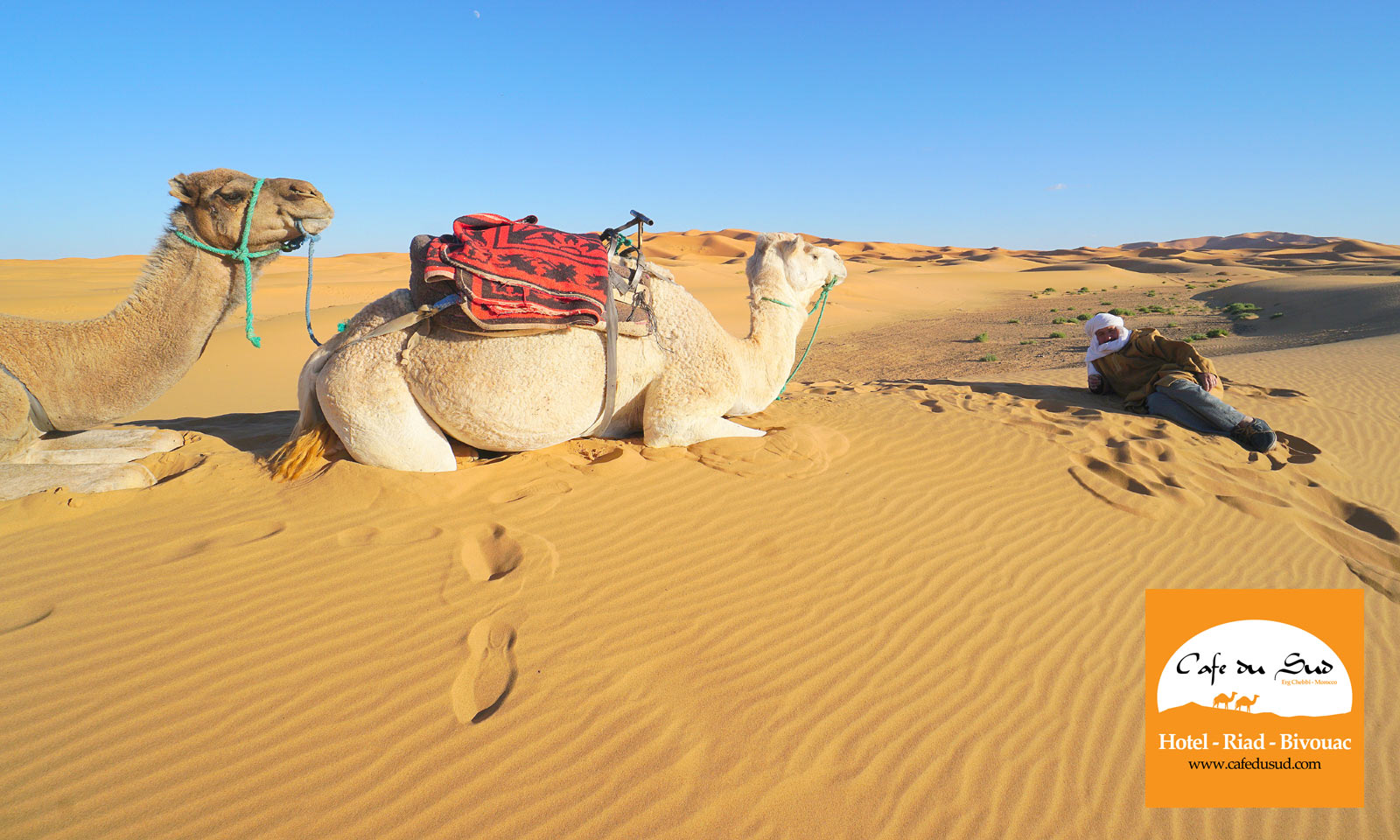 CAMEL TREKKING MOROCCO